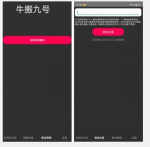 外面价值888的斗音KS最新搬运技术教程-木石资源网