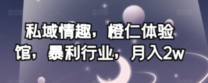 私域情趣，橙仁体验馆，暴利行业，月入2w【揭秘】-木石资源网