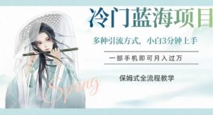 冷门蓝海项目，操作简单，小白3分钟上手，多种引流方式，保姆式全流程教学【揭秘】-木石资源网