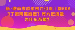 新·微商零成本暴力引流丨都2023了微商还能做?有大把流量,为什么不能?-木石资源网