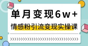 单月变现6W+，抖音情感粉引流变现实操课，小白可做，轻松上手，独家赛道【揭秘】-木石资源网