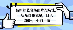 最新综艺名场面片段玩法，明星自带流量，日入200+，小白可做【揭秘】-木石资源网