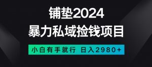 暴力私域捡钱项目，小白无脑操作，日入2980【揭秘】-木石资源网