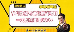 数据号回归玩法游戏试玩搬砖项目再创日入500+【揭秘】-木石资源网
