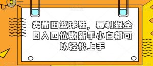 卖莆田篮球鞋,暴利掘金日入四位数新手小白都可以轻松上手【揭秘】-木石资源网