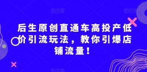 后生原创直通车高投产低价引流玩法，教你引爆店铺流量！-木石资源网