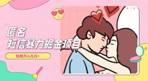 全网首发，揭秘超冷门匿名短信项目，通过信息差日入几百+【揭秘】-木石资源网