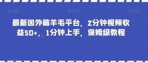 最新国外薅羊毛平台，2分钟视频收益50+，1分钟上手，保姆级教程【揭秘】-木石资源网