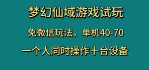 梦幻仙域游戏试玩,免微信玩法,单机40-70,一个人同时操作十台设备【揭秘】-木石资源网