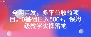 全网首发，多平台收益项目，0基础日入500+，保姆级教学实操落地【揭秘】-木石资源网