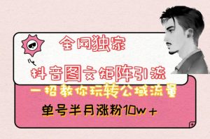 全网独家抖音图文矩阵引流，一招教你玩转公域流量，单号半月涨粉10w+【揭秘】-木石资源网