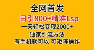 全网首发！日引800+精准老色批，一天变现2000+，独家引流方法，可矩阵操作【揭秘】-木石资源网