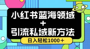 小红书蓝海虚拟＋引流私域新方法，100%不限流，日入轻松1000＋，小白无脑操作【揭秘】-木石资源网