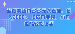 蓝海赛道拼多多无人直播,日入2600+,0成本变现,小白也能轻松上手【揭秘】-木石资源网