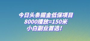 今日头条掘金低保项目，8000播放=150米，小白副业首选【揭秘】-木石资源网