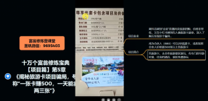 十万个富翁修炼宝典之5.揭秘旅游卡项目骗局，号称“一张卡赚500，一天能卖两三张”-木石资源网