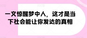 一文惊醒梦中人,这才是当下社会能让你发达的真相【公众号付费文章】-木石资源网