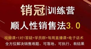 爆款！销冠训练营3.0之顺人性销售法，全方位解决销售难题、可落地、可执行、有结果-木石资源网