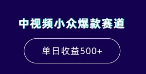 中视频小众爆款赛道，7天涨粉5万+，小白也能无脑操作，轻松月入上万【揭秘】-木石资源网