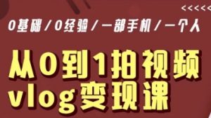 从0到1拍视频vlog变现课,5分钟每天,每月多赚1W-木石资源网