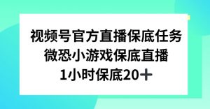 视频号直播任务，微恐小游戏，1小时20+【揭秘】-木石资源网