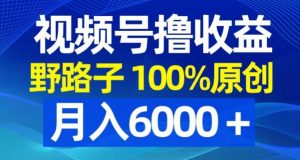 视频号野路子撸收益,100%原创,条条爆款,月入6000+【揭秘】-木石资源网