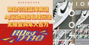 被动引流蓝海赛道，AJ运动用品私域玩法，无限复购年入百万【揭秘】-木石资源网