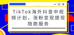 TikTok海外抖音中视频计划,涨粉变现提现陪跑服务-木石资源网