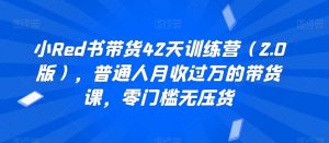 小Red书带货42天训练营(2.0版),普通人月收过万的带货课,零门槛无压货-木石资源网
