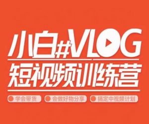 小呆说视–小白VLOG短视频训练营,学会带货、好物、直播、中视频-木石资源网