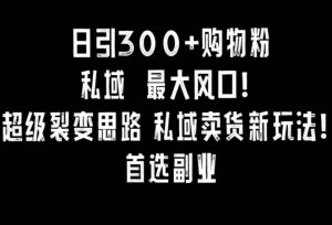 日引300+购物粉,超级裂变思路,私域卖货新玩法,小红书首选副业【揭秘】-木石资源网
