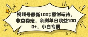 视频号最新100%原创玩法,收益稳定,亲测单日收益1000+,小白专属【揭秘】-木石资源网