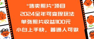 2024全年可变现玩法”售卖照片”单张照片收益1100元小白上手快,普通人可做【揭秘】-木石资源网