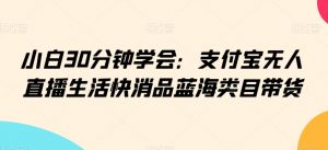 小白30分钟学会:支付宝无人直播生活快消品蓝海类目带货【揭秘】-木石资源网