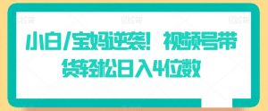 小白/宝妈逆袭!视频号带货轻松日入4位数【揭秘】-木石资源网