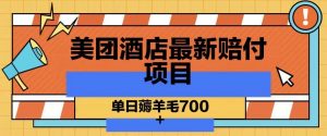 美团酒店最新赔付项目,单日薅羊毛700+【仅揭秘】-木石资源网