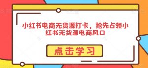 小红书电商无货源打卡,抢先占领小红书无货源电商风口-木石资源网