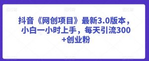 抖音《网创项目》最新3.0版本,小白一小时上手,每天引流300+创业粉【揭秘】-木石资源网