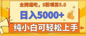 男粉项目5.0,最新野路子,纯小白可操作,有手就行,无脑照抄,纯保姆教学【揭秘】-木石资源网