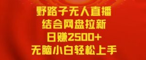野路子无人直播结合网盘拉新,日赚2500+,小白无脑轻松上手【揭秘】-木石资源网