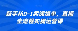 新手从0-1卖课爆单,直播全流程实操运营课-木石资源网