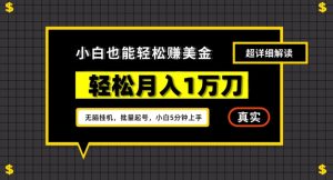 谷歌看广告撸美金2.0,无脑挂机,多号操作,月入1万刀【揭秘】-木石资源网