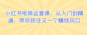 小红书电商运营课,从入门到精通,带你抓住又一个赚钱风口-木石资源网