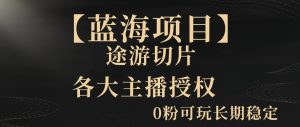 一天收入2000+,最新中视频创新玩法,用AI科技一键改唱影解说刷爆流量收益【揭秘】-木石资源网