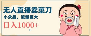 无人冷门品直播新玩法,通过卖菜刀日入1000+【揭秘】-木石资源网