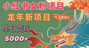 小红书女粉头像项目,单日变现5000+,适合在家做的副业,长期稳定【揭秘】-木石资源网