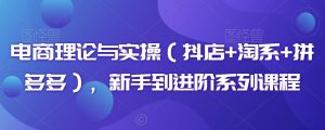 电商理论与实操(抖店+淘系+拼多多),新手到进阶系列课程-木石资源网