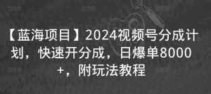 【蓝海项目】2024视频号分成计划,快速开分成,日爆单8000+,附玩法教程-木石资源网
