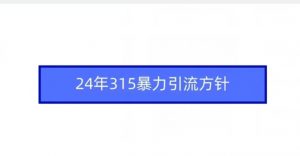 24年315暴力引流方针-木石资源网