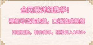 全网最详细教学,视频号蓝海赛道,口播情感视频,无需露脸,制作简单,轻松实现日入1000+【揭秘】-木石资源网